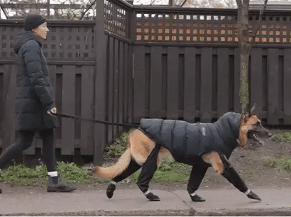 Luxora Adjustable Dog Boots for All-Terrain Protection