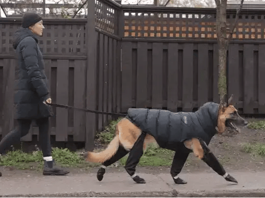 Luxora Adjustable Dog Boots for All-Terrain Protection