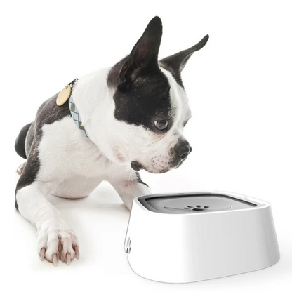 RoyaleGlow Large Capacity Anti-Overflow Dog Drinking Water Bowl