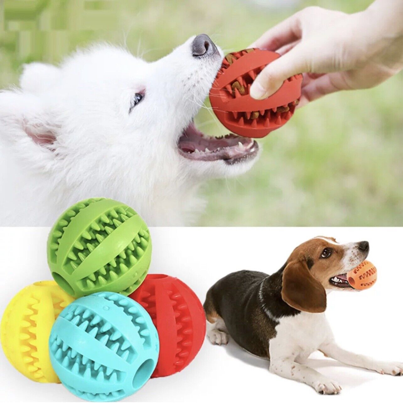 Royaleva Interactive Rubber Ball for Dogs and Cats