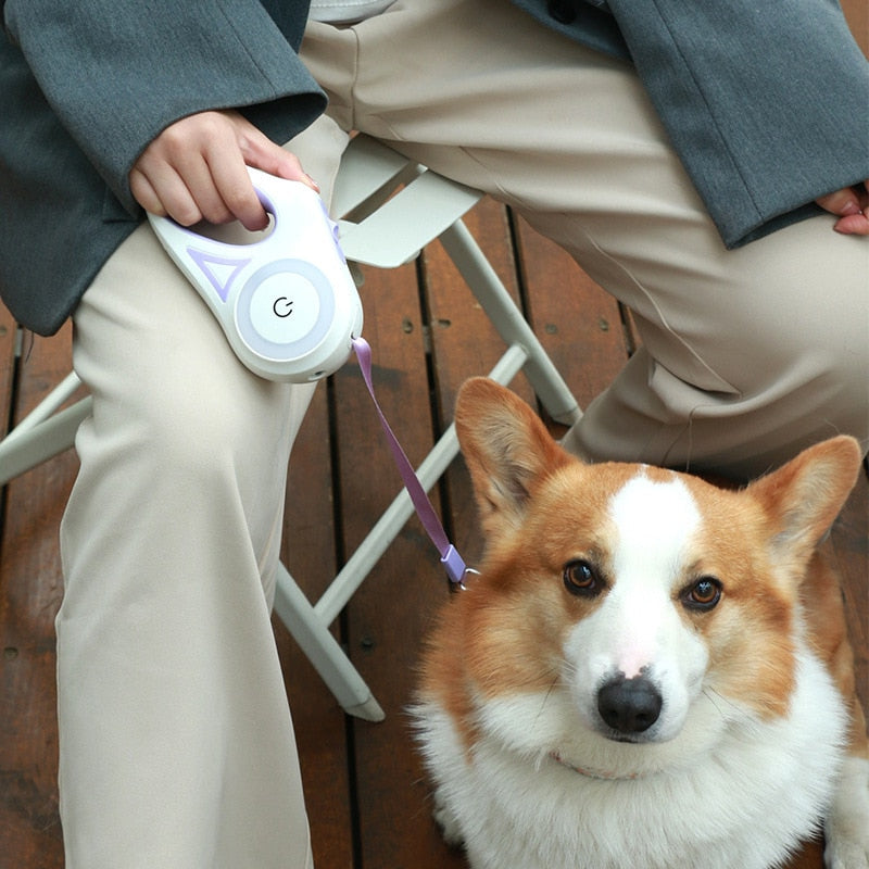 Luxora LED Light Retractable Dog Leash with Light 3m