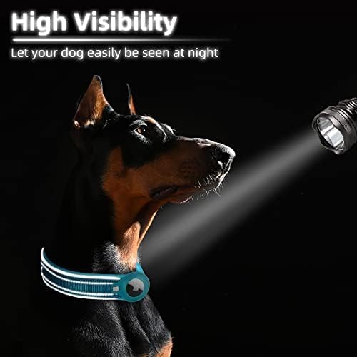 RoyaleGlow AirTag Dog Collar with Reflective Safety Stitching