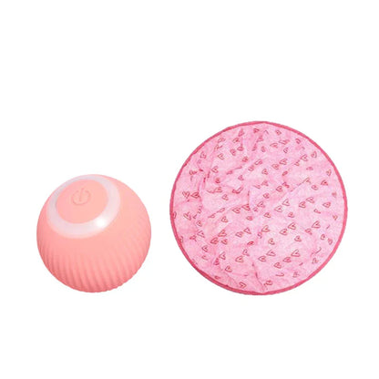 RoyaleGlow 2 in 1 Simulated Interactive Hunting Cat Toy