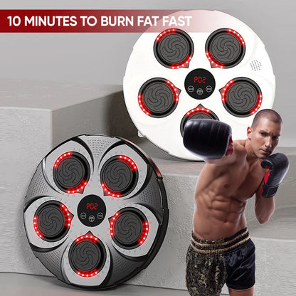 Royaleva Wall Mounted Music Boxing Machine | Healthy Gift