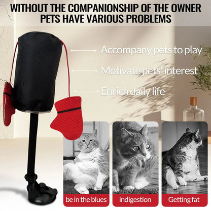 Royaleva Interactive Cat Toys with Spring-Loaded Action