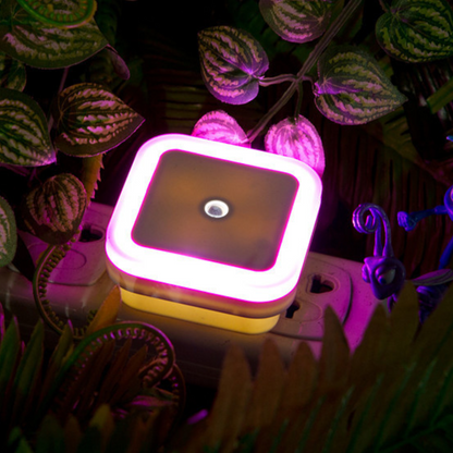 Royaleva Plug In Motion Detector Smart Outlet Night Light