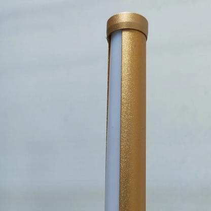 Royelux Modern Minimalist LED Standing Floor Lamp For Living Room