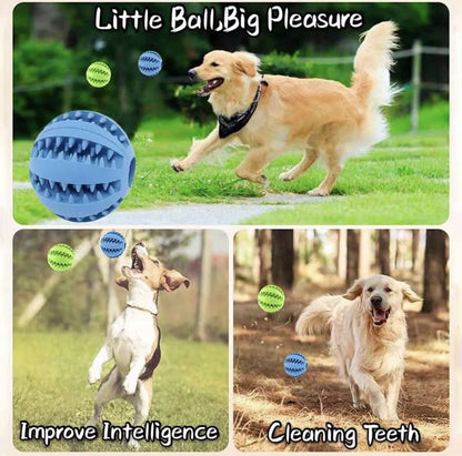 Royaleva Interactive Rubber Ball for Dogs and Cats