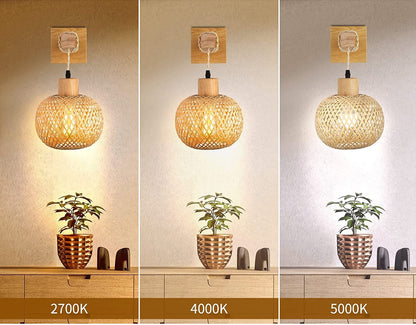 Royelux Elegant Handwoven Rattan Wood Wall Sconce with Warm Glow