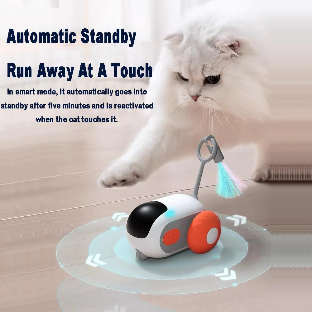 Royaleva Interactive Cat Toys with Remote Control Fun