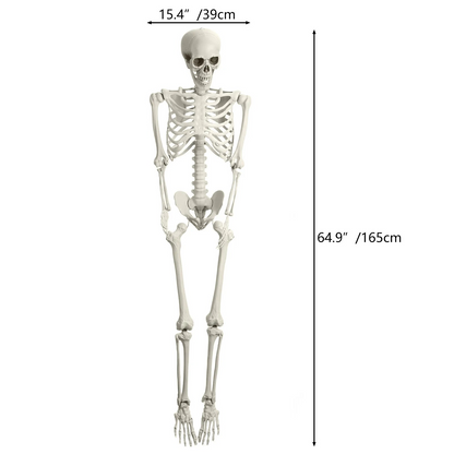 LuxRoyale Life-Size Skeleton Decoration with Glowing Eyes Movable Joints