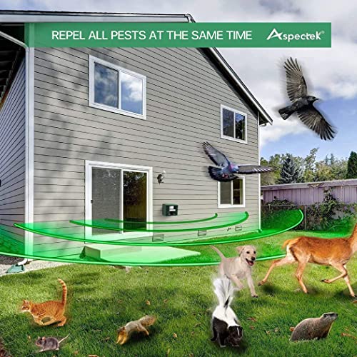 Royaleva Woodpecker Ultrasonic Repeller for Effective Bird Control - Get Rid of Woodpeckers