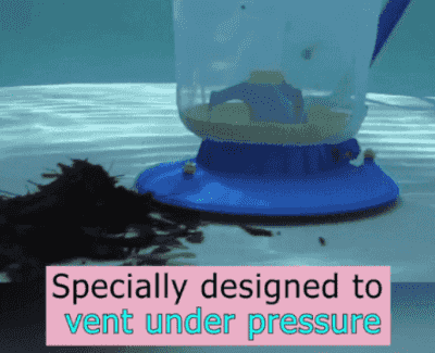 Royaleva Pool Leaf Vacuum, Large Pool Leaf Sucker for Inground and Above Ground Swimming Pools (Blue)