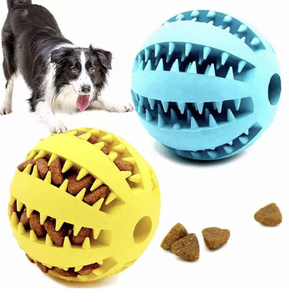 Royaleva Interactive Rubber Ball for Dogs and Cats