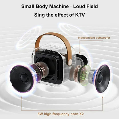 Royaleva Portable Karaoke Machine With 2 Microphones