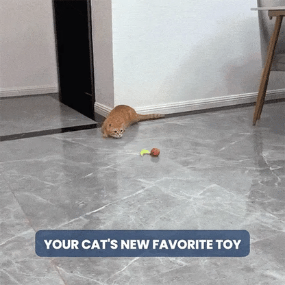 Luxora Interactive Rechargeable Cat Toy Ball for Fun