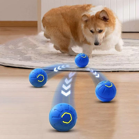 Royaleva Active Rolling Ball – Automatic Anti-Anxiety Toy for Pets & People