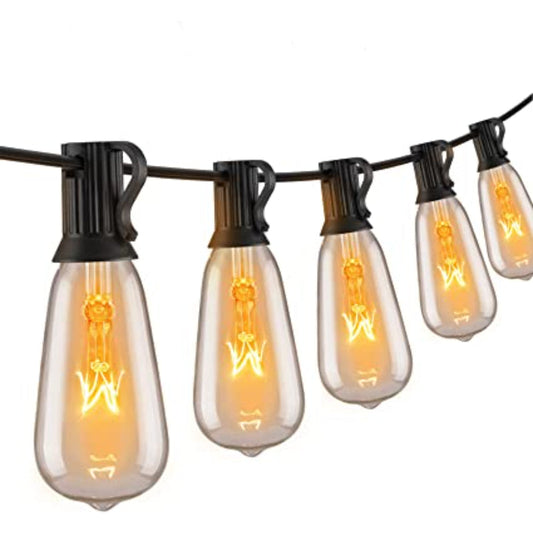 Royaleva Outdoor Dimmable String Lights - 20 ft LED Ambiance Lighting - Black / 20 ft