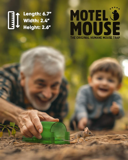RoyaleGlow 4-Pack Mouse Trap Humane Catch & Release Traps