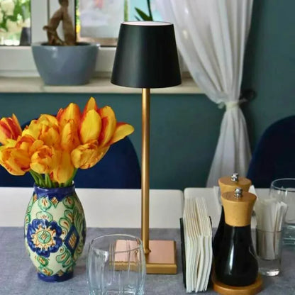 Dimmable Tall Table Lamp - Touch-Activated, USB-C Rechargeable Modern Lighting - Black/Gold