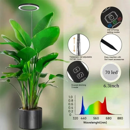 RoyaleGlow Grow Light For Indoor Plants Adjustable & Energy Efficient