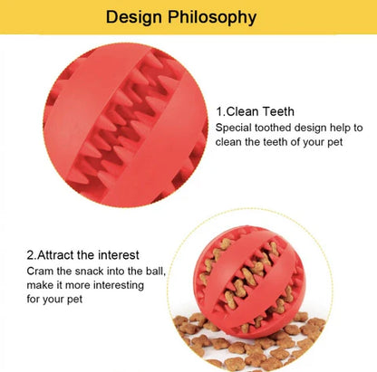 Royaleva Interactive Rubber Ball for Dogs and Cats