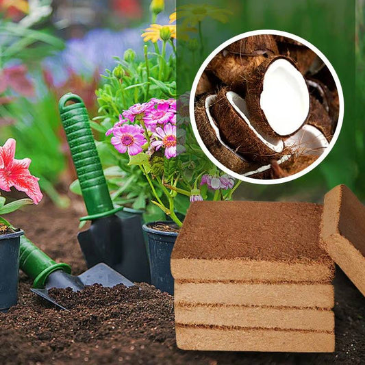 RoyaleGlow Coco Coir Bricks - Organic Growing Medium 6 Pack