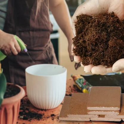 RoyaleGlow Coco Coir Bricks - Organic Growing Medium 6 Pack
