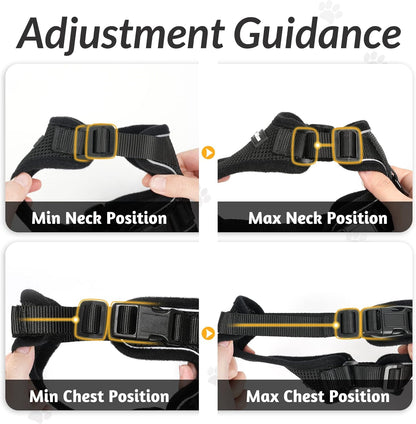 Luxora Escape Proof Cat Harness with Leash for Safe Adventures