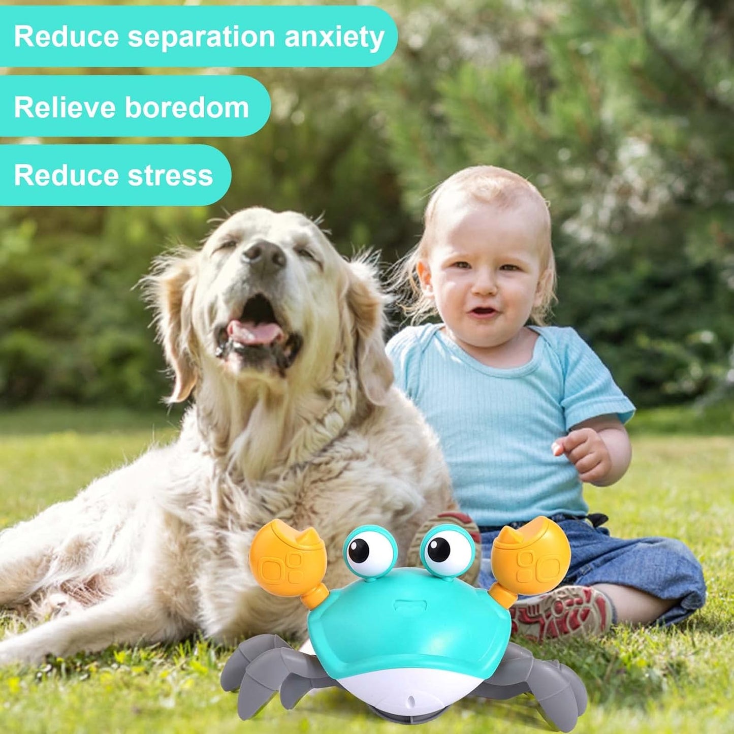 Pawellure Interactive Crawling Crab Dog Toy - Engaging & Fun Pet Activity for All Breeds