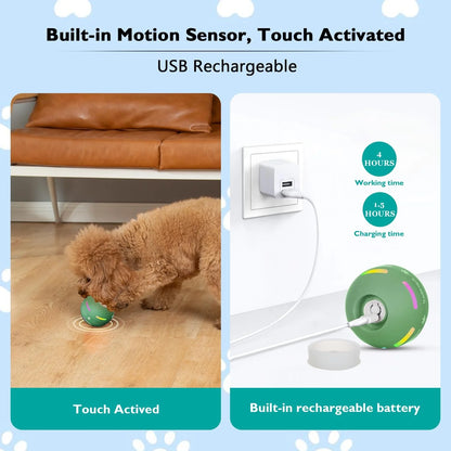 Royaleva Interactive Dog Ball Toy for Engaging Playtime