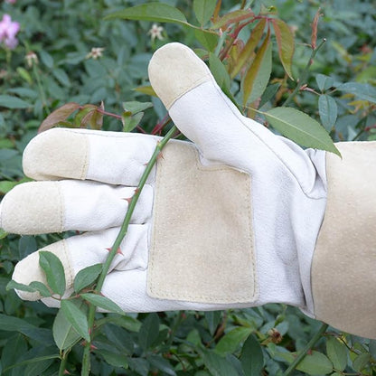 RoyaleGlow Arm Saver Gloves for Gardening and Protection