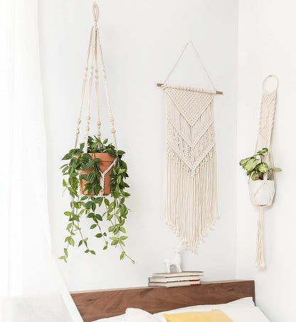 Royaleva Indoor Hanging Planter Pot for Stylish Decor