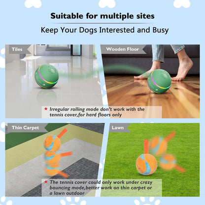 Royaleva Interactive Dog Ball Toy for Engaging Playtime