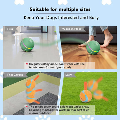 Royaleva Interactive Dog Ball Toy for Engaging Playtime
