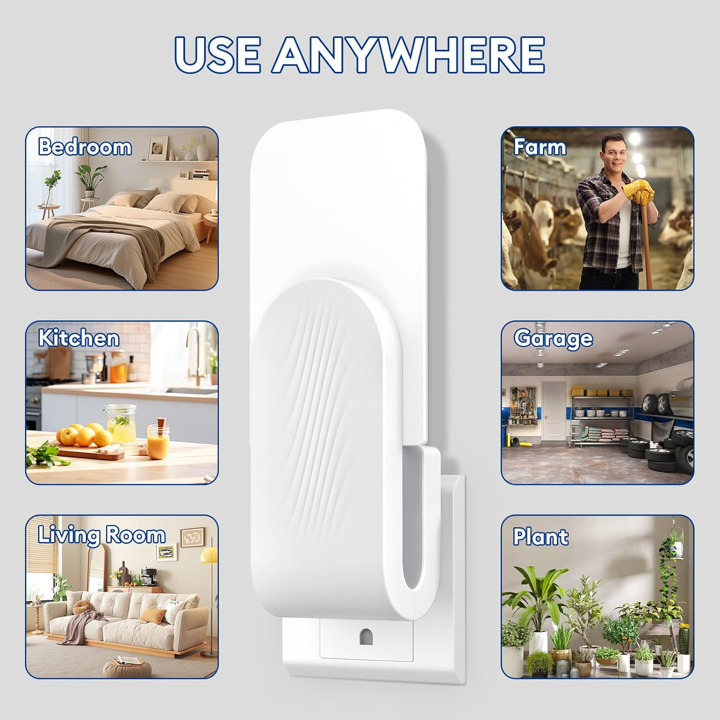 Royaleva Indoor Fly Trap with Adhesive Cards for Home Use