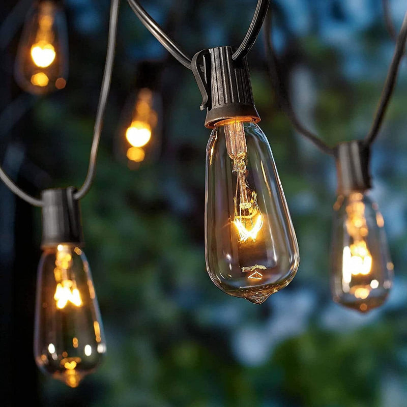 Royaleva Outdoor Dimmable String Lights - 20 ft LED Ambiance Lighting - Black / 20 ft