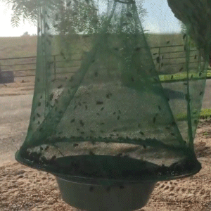 Royaleva Eco-Friendly Stable Fly Trap for Outdoor Use