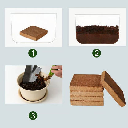 RoyaleGlow Coco Coir Bricks - Organic Growing Medium 6 Pack