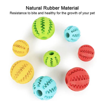 Royaleva Interactive Rubber Ball for Dogs and Cats