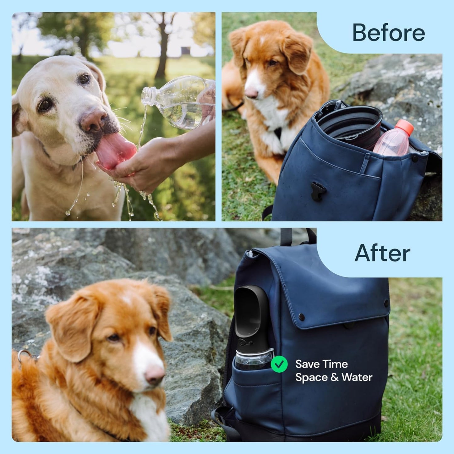 Royaleva 19 Oz Portable Water Bottle For Dogs Travel Use