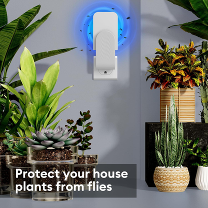 Royaleva Indoor Fly Trap with Adhesive Cards for Home Use