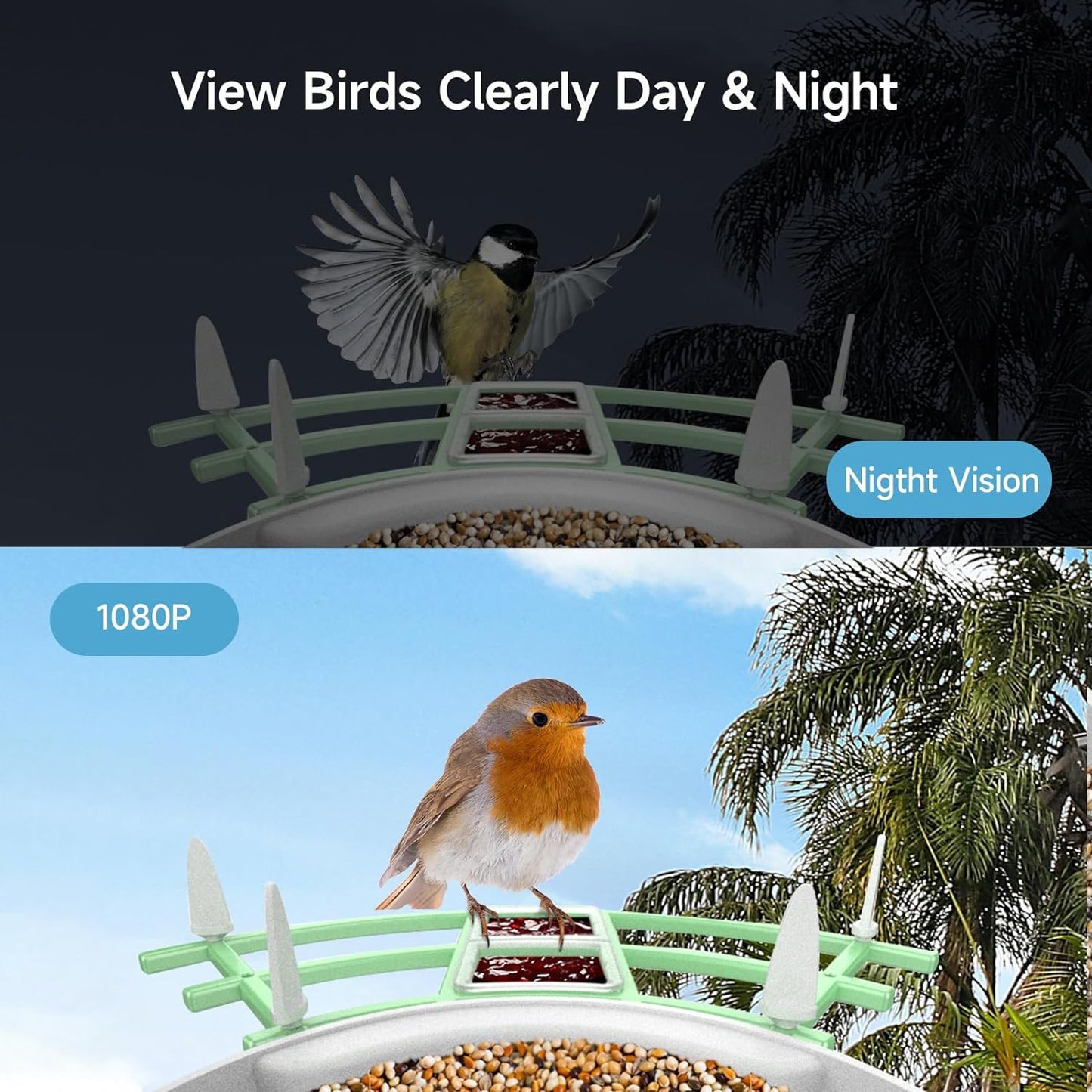 RoyaleGlow Smart Bird Feeder Camera with Night Vision