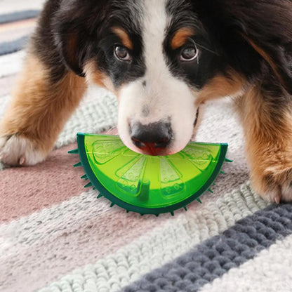 Royaleva Cooling Freezable Summer Pet Dog Teething Chew Toy