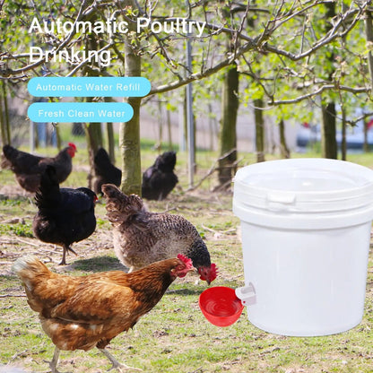Luxora 10 Pcs Chicken Waterer Automatic Refill System