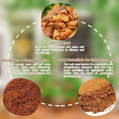 RoyaleGlow Coco Coir Bricks - Organic Growing Medium 6 Pack