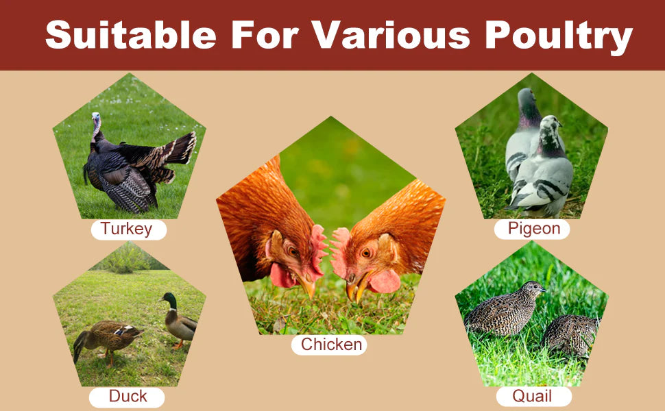 Luxora 10 Pcs Chicken Waterer Automatic Refill System