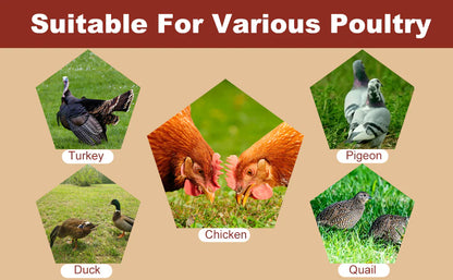 Luxora 10 Pcs Chicken Waterer Automatic Refill System