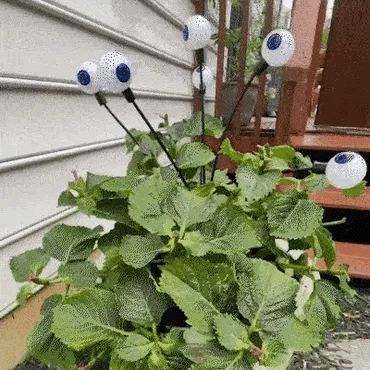 Rayvia Solar Halloween Eyeball Lights LED Outdoor Waterproof Yard Decor