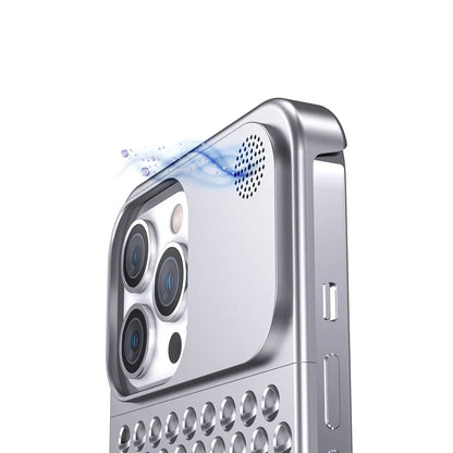 RoyaleGlow Aromatherapy Aluminum Alloy Case for Essential Oils
